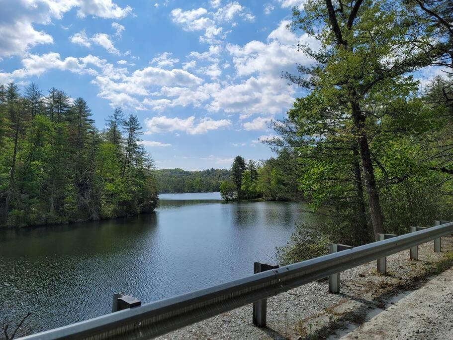 Cozy Swamp Rabbit - Sans Souci Greenville Furman Εξωτερικό φωτογραφία